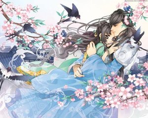 暗网91破解版